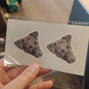 Rosie added a photo of their purchase