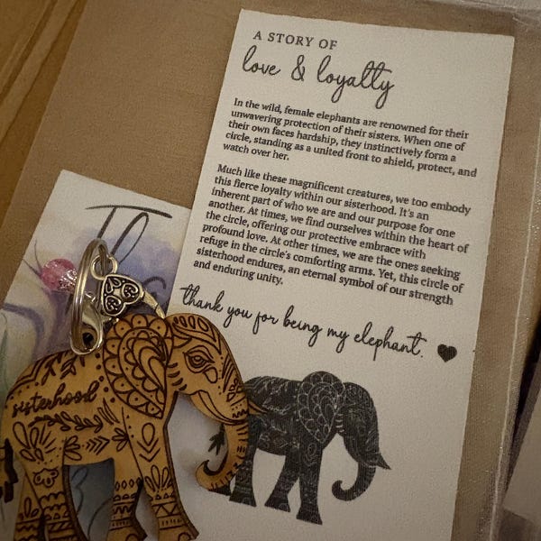 Sisterhood Elephant Cutout Ornament & Poem Elephant Ornament Christmas