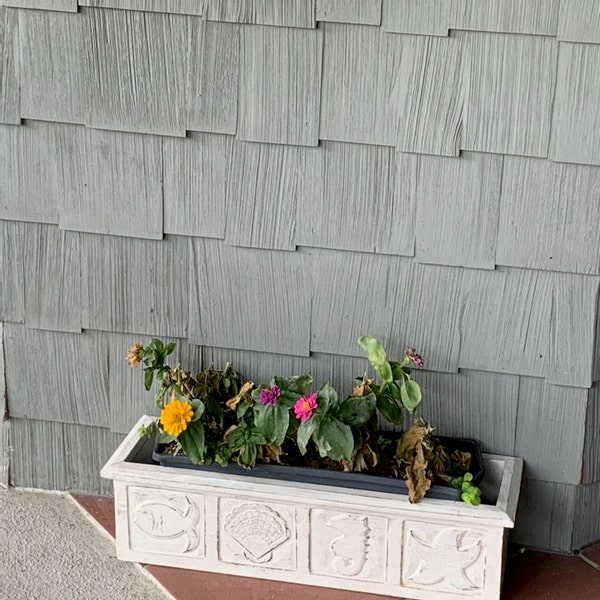 Maui Wowie Wooden Surfboard Drawer Pulls Etsy