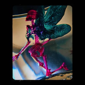 Lilith added a photo of their purchase