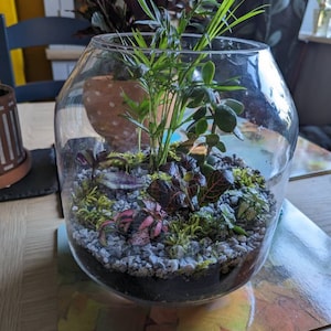 Daniel added a photo of their purchase