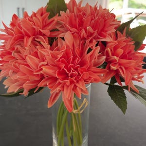 Etsy-koper heeft een foto van de aankoop toegevoegd