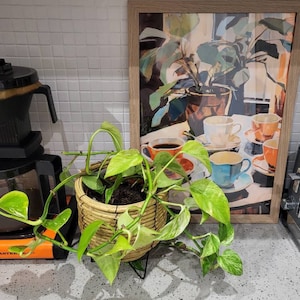 Iwona added a photo of their purchase
