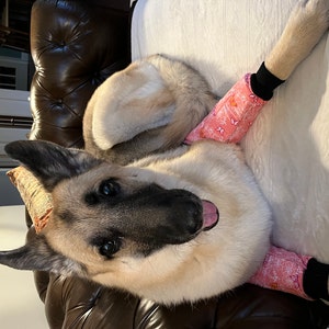 Karima hat ein Foto des gekauften Artikels hinzugefügt