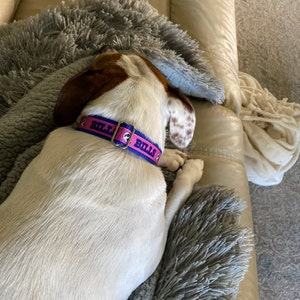 Pets collar 120cm nylon mascota perros correa nuevo lino cuello para Walking 6 color