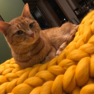 Courtney added a photo of their purchase