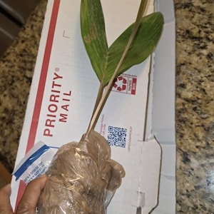 Carol added a photo of their purchase