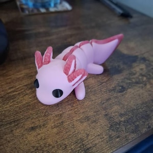 Dwarfcan added a photo of their purchase