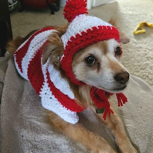 Crystal added a photo of their purchase