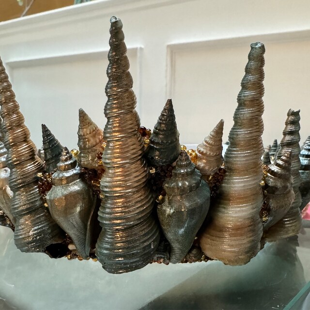Green & Gold Sea Shell Merman Poseidon Crown Hair Band Headband