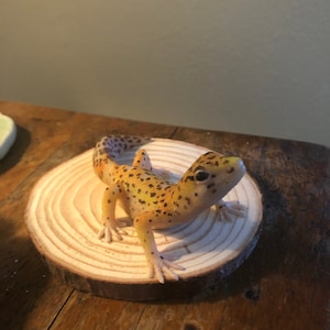 Erica added a photo of their purchase