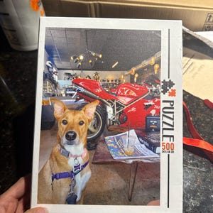 Maria added a photo of their purchase