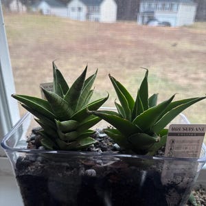 Coleen added a photo of their purchase