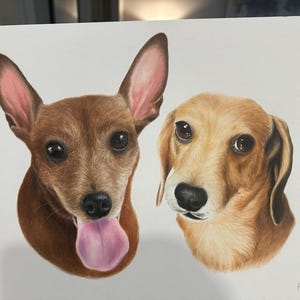 Nat added a photo of their purchase