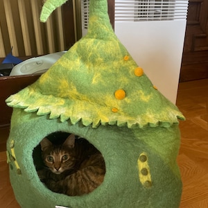 Blanca added a photo of their purchase