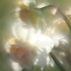 Acquirente Etsy ha aggiunto una foto del proprio acquisto