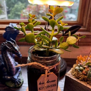 Joette ha añadido una foto de su compra