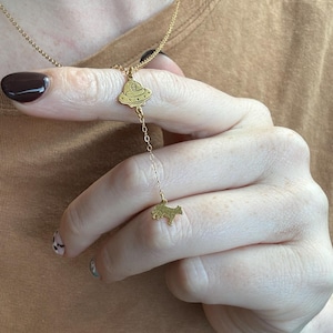 Customer photo, UFO Abduction Necklace