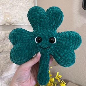 Rachel added a photo of their purchase