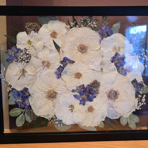Mary added a photo of their purchase