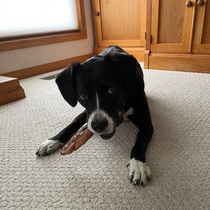 Ty adicionaram uma foto da sua compra