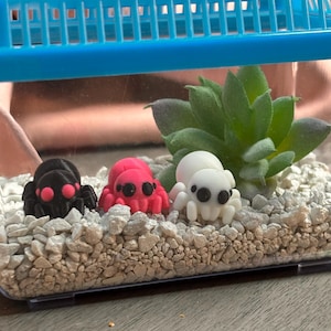 Dora added a photo of their purchase
