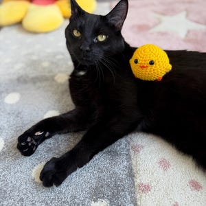 Zoe ha añadido una foto de su compra