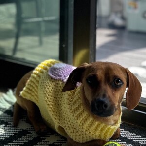 A Babydog and The Gingerbread Man Sweater