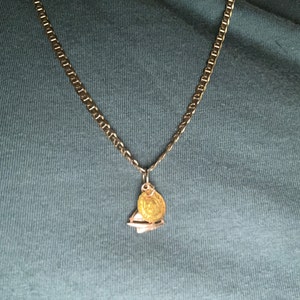 Mike added a photo of their purchase