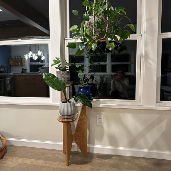 HomeStyles 3-Tier Plant Stand main image 1