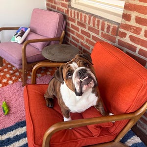 Noelle added a photo of their purchase