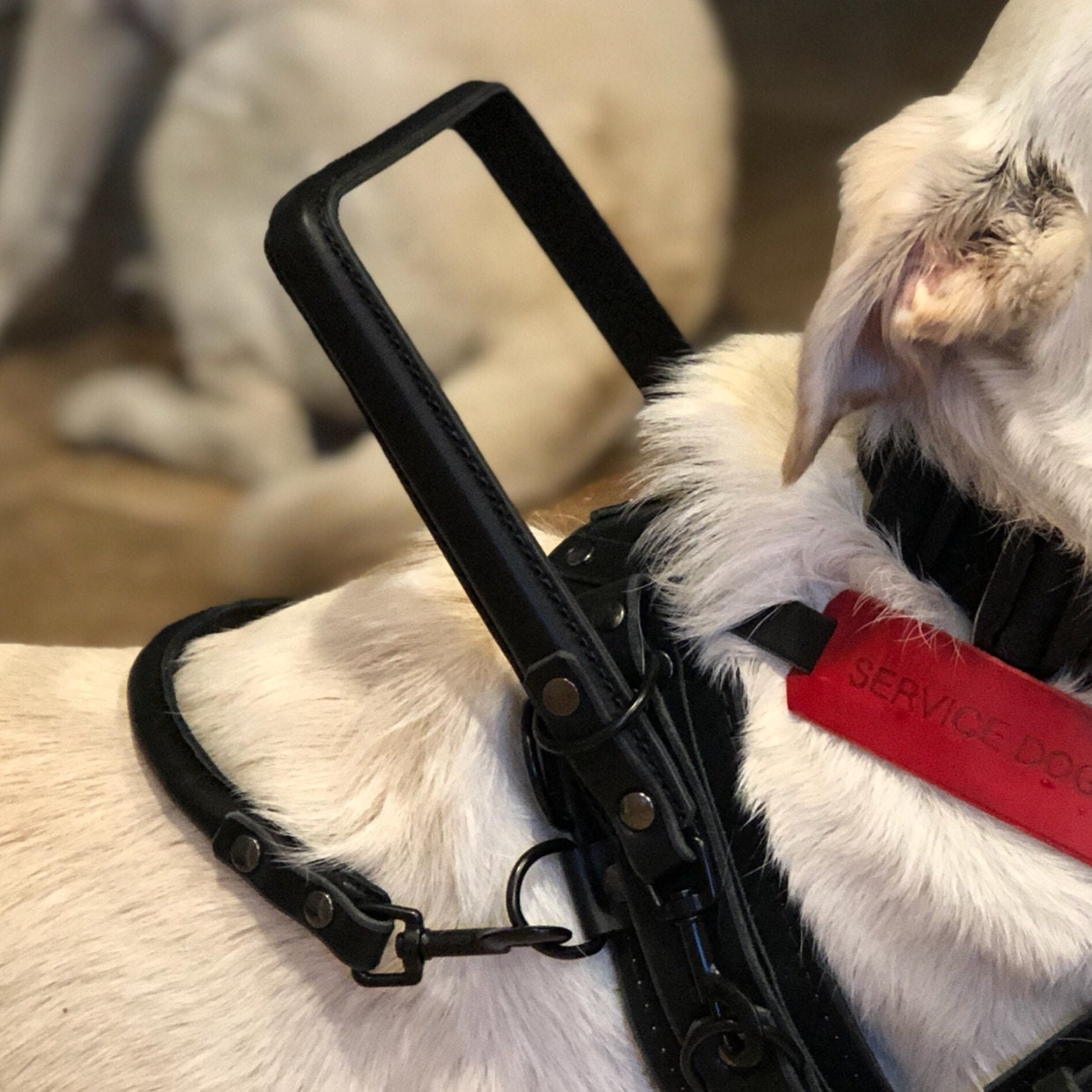 Custom Rigid Handle for your Service Dog Harness, Ideal for Guide