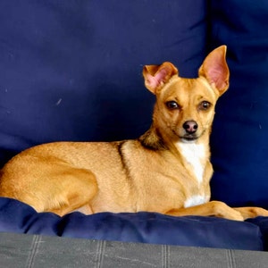 Bethanne added a photo of their purchase