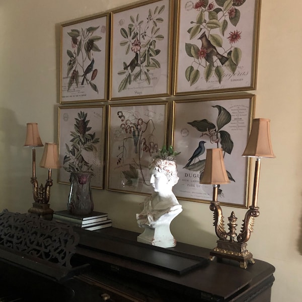 Vintage Bird and Botanical Print Set No.2, Giclee, Art Prints, Vintage ...