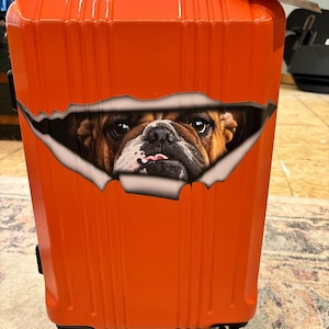 Kae added a photo of their purchase