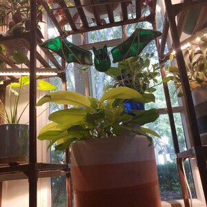 Shannon added a photo of their purchase