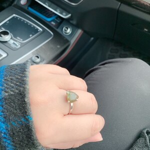 Shuxian added a photo of their purchase