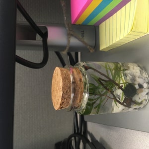 Maryanne added a photo of their purchase