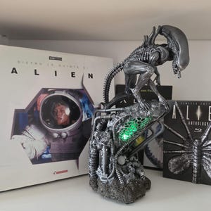Luca hat ein Foto des gekauften Artikels hinzugefügt