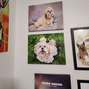 Sarah added a photo of their purchase