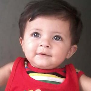 All-in-One Digital Planner 2025 2026 2027, Hyperlink Digital Planner, Daily Weekly Monthly Journal, Goodnotes Planner, Apple Google Calendar