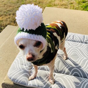 oscar the blue chihuahua hat