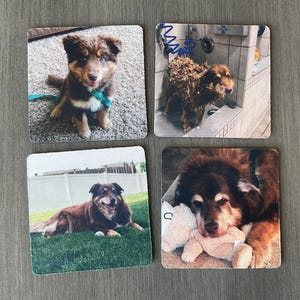Claude added a photo of their purchase