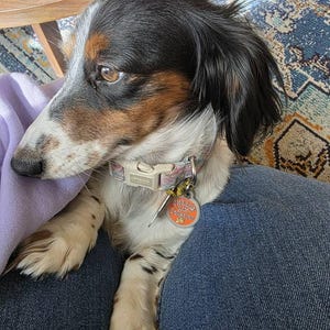 Meredith added a photo of their purchase