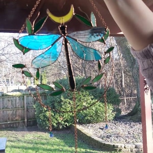 Steve added a photo of their purchase
