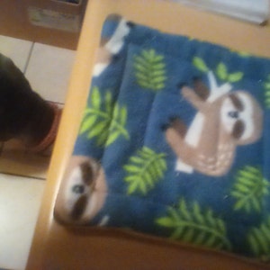 Chelsie added a photo of their purchase