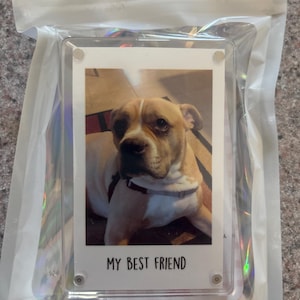 Erica added a photo of their purchase