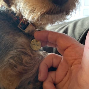 Solid Brass Tag Lock: Dog & Cat ID Tag Collar Attachment