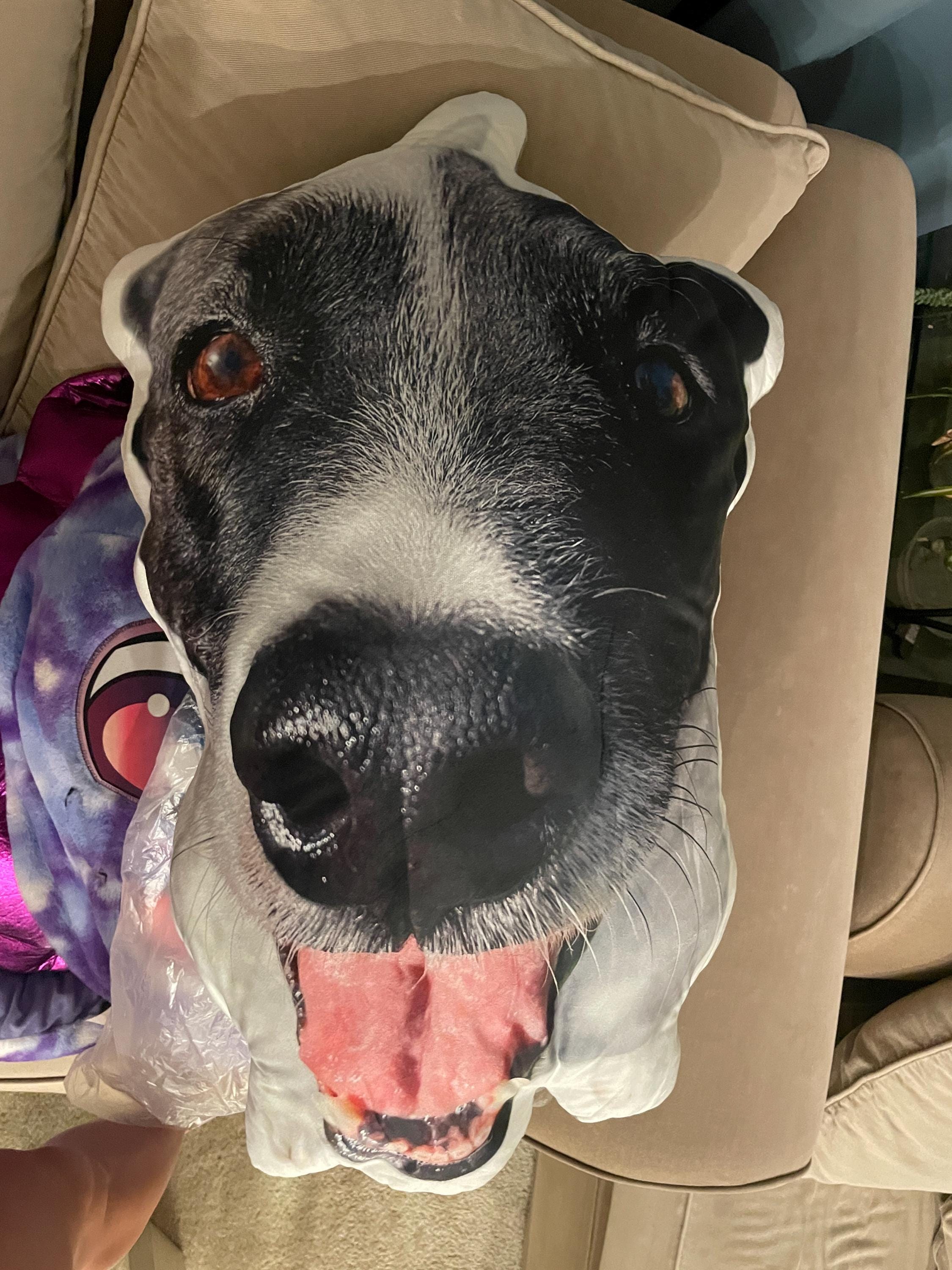 Custom Pet Pillow | Personalized Pillow | Pet Memorial Gift | Custom shaped pillow | Dog Pillow | Cat Pillow | Pet Lover Gift