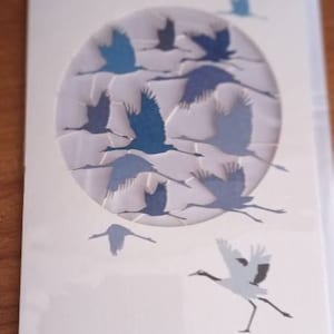 CAMeades a ajouté une photo de son achat